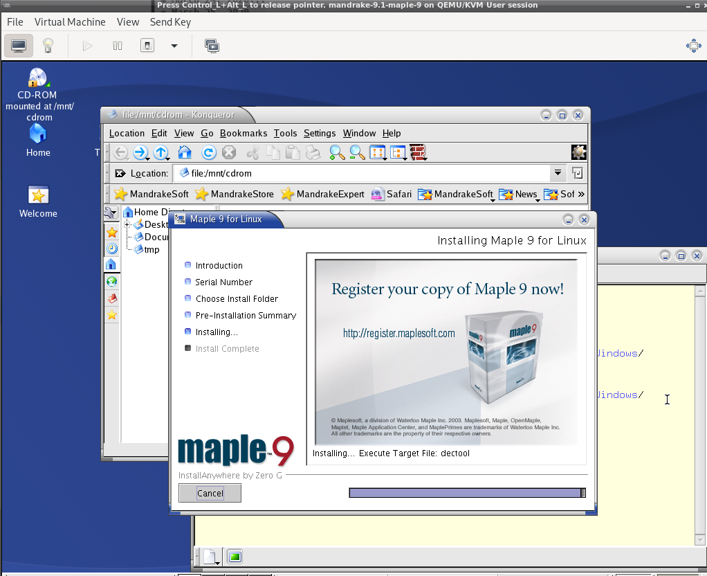 Mandrake 9.1 running Maple 9